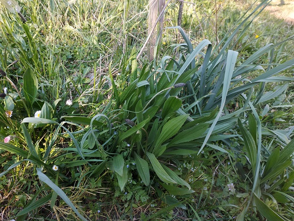 Annexe 91795301_235436090846930_8662123813900648448_n.jpg