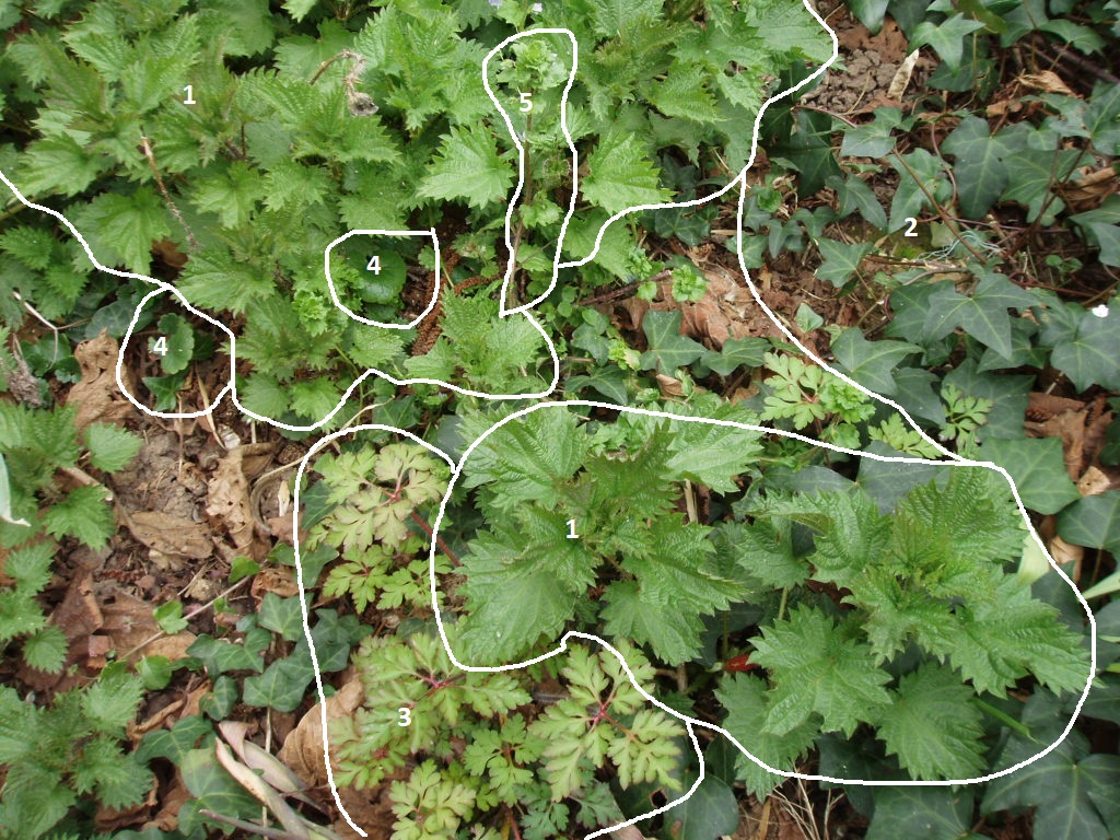 Annexe groupement (3).JPG