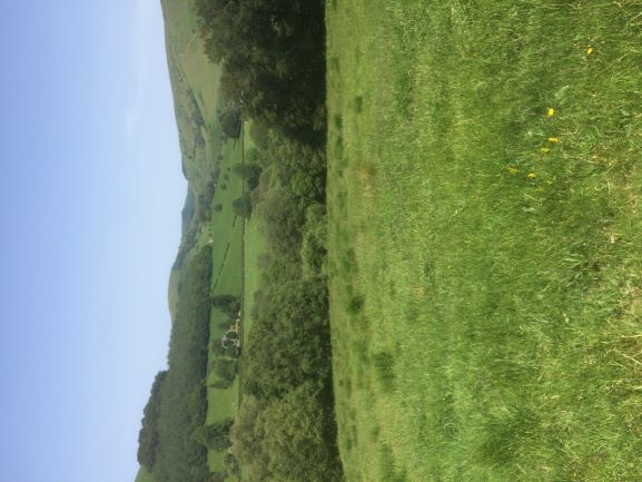 Annexe Vicarage Meadows.JPG