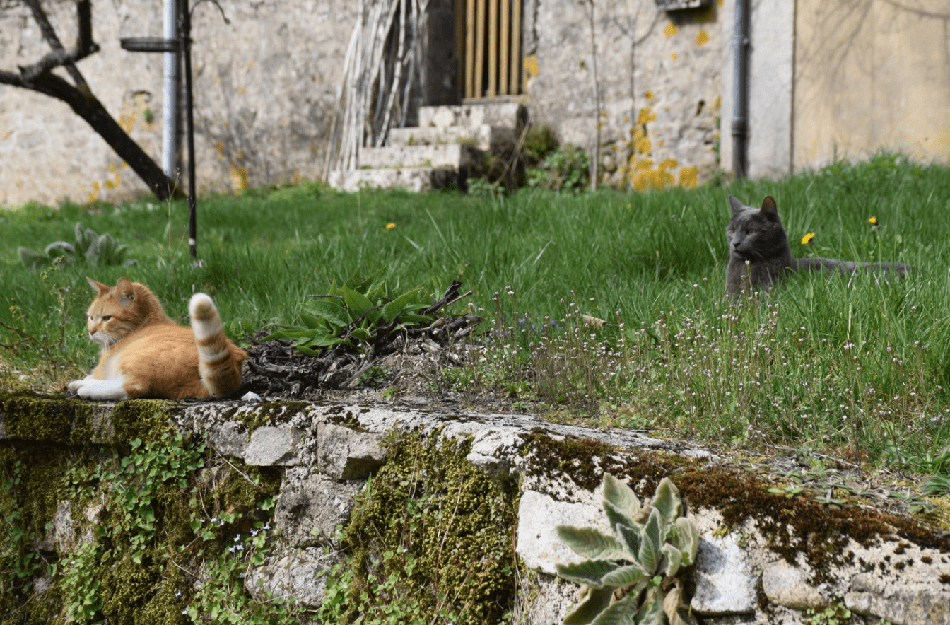 Annexe Biodiversite.png