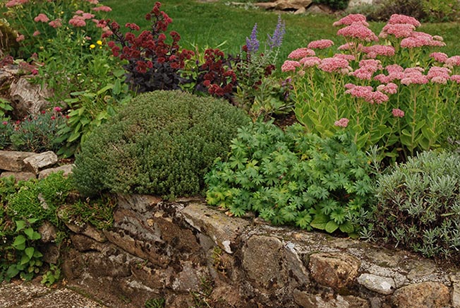 Annexe Jardin muret.jpg