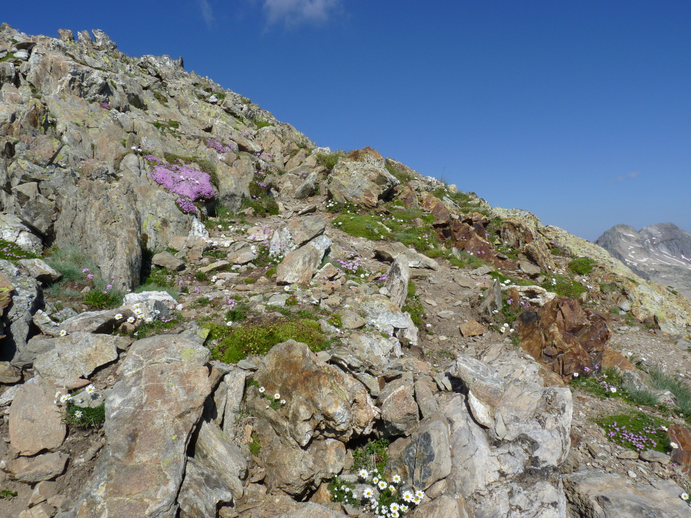 Annexe P1040899b.JPG