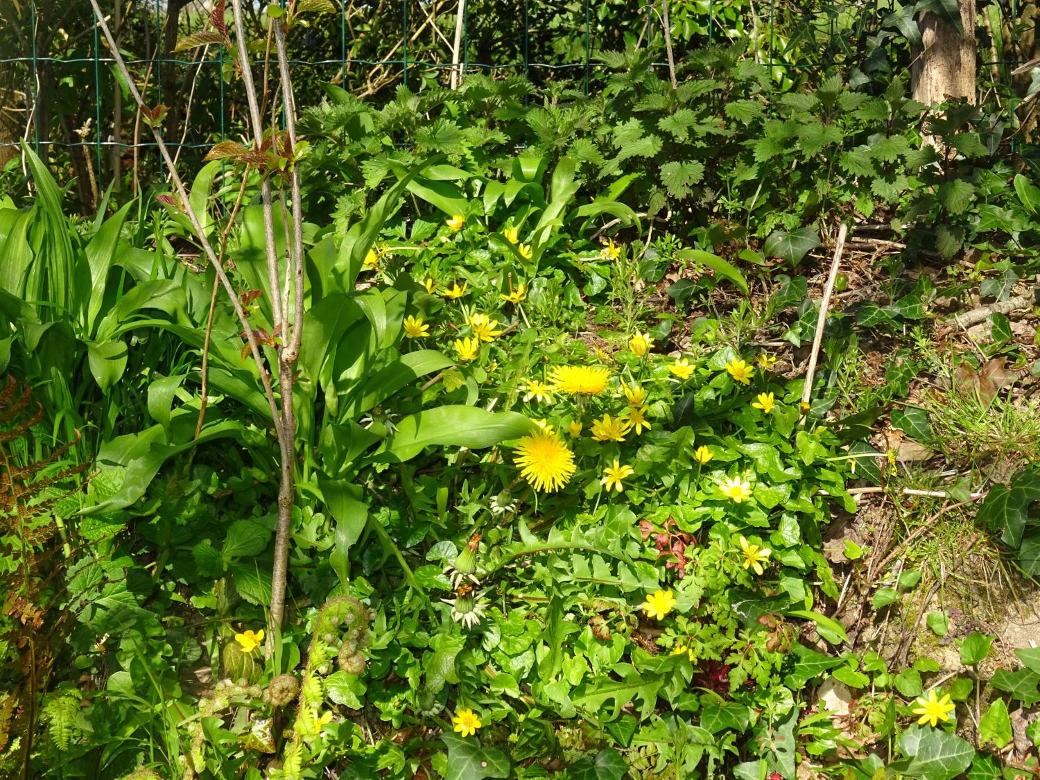 Annexe Talus le 04-avril 00.JPG