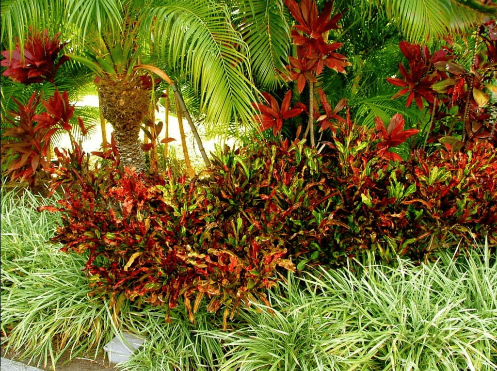 Annexe Capture-min.PNG