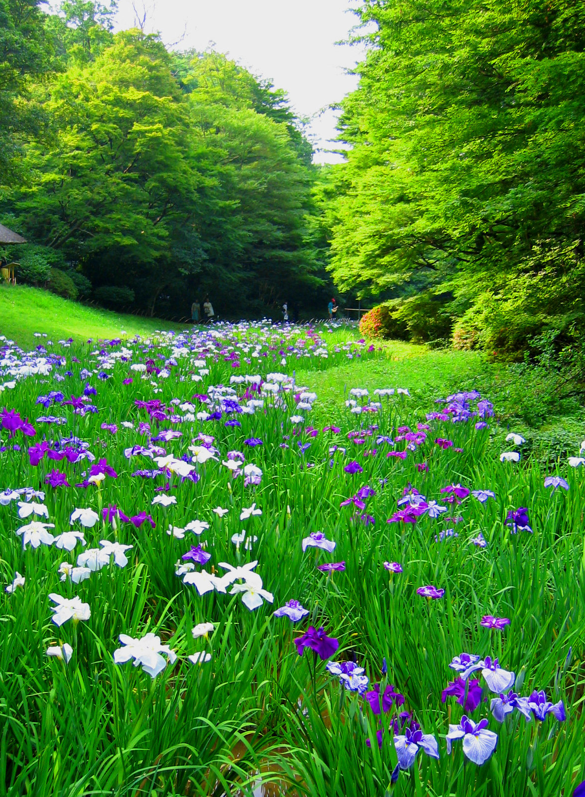 Annexe 573445706_5e2c7e0bfa_h.jpg