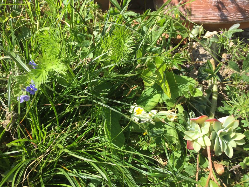 Annexe 91956029_522935488288706_8526849403686748160_n.jpg