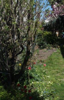 Annexe BIODIVERSITE (2).JPG