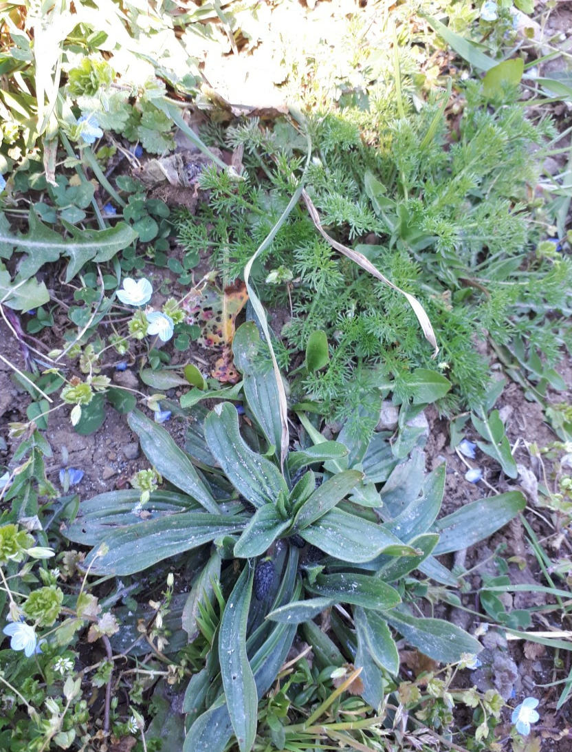 Annexe Composition4.jpg