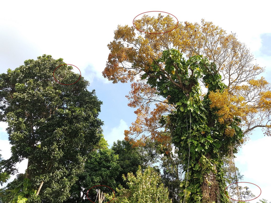 Annexe terrain vague 1.jpg