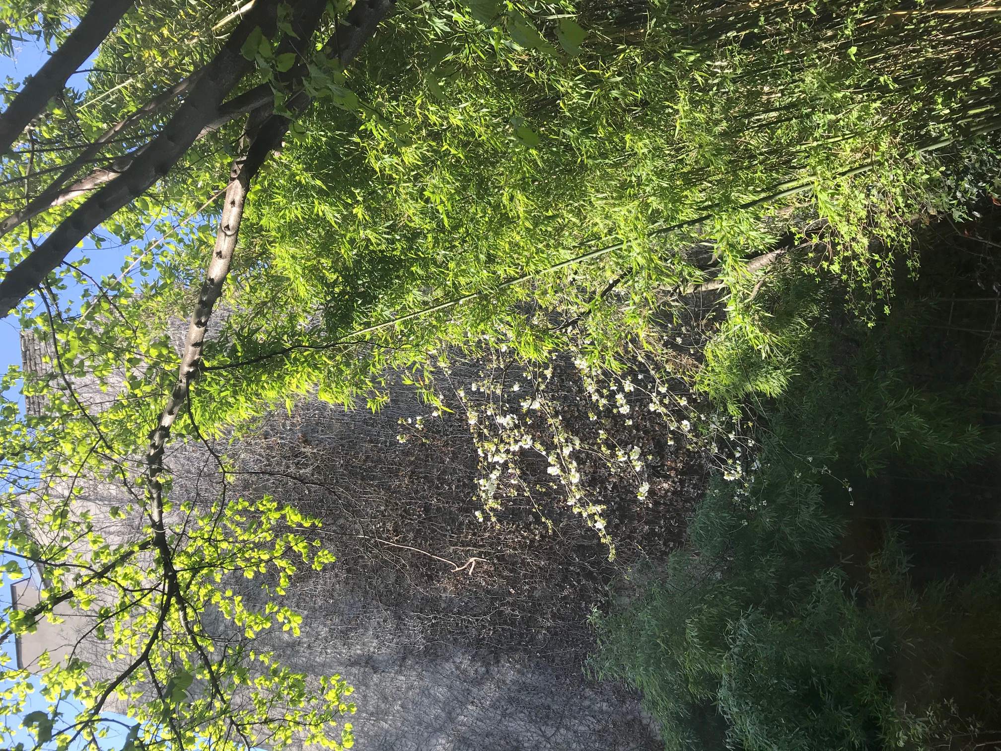 Annexe IMG_8845-ConvertImage.jpg