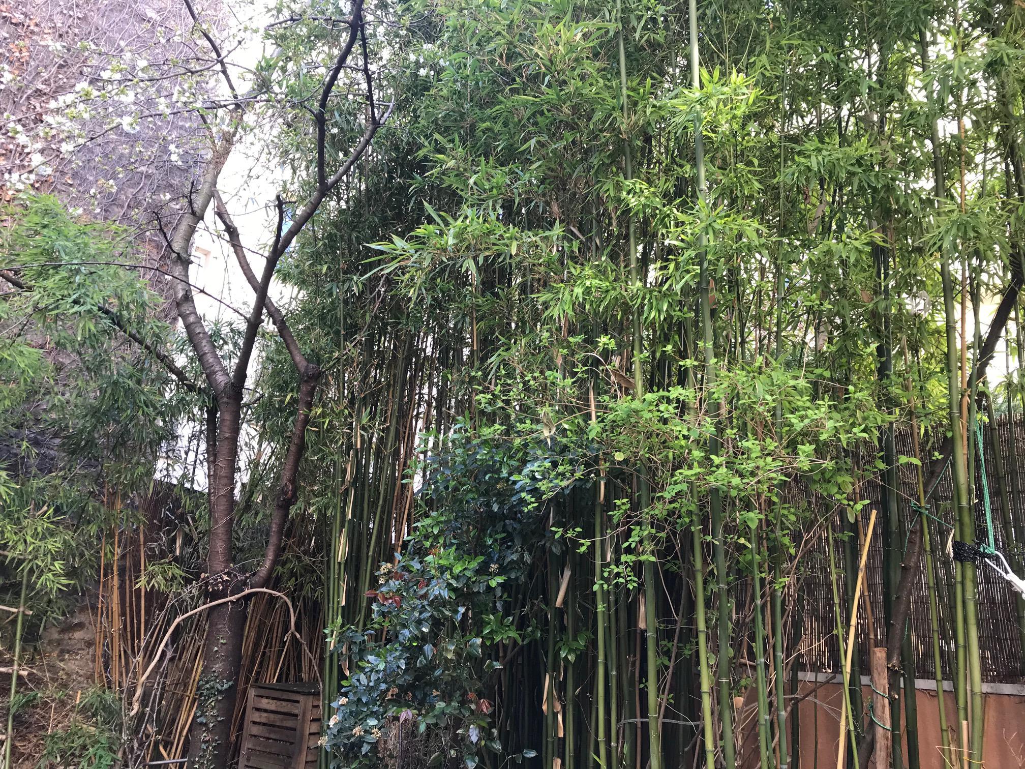 Annexe IMG_8849-ConvertImage.jpg