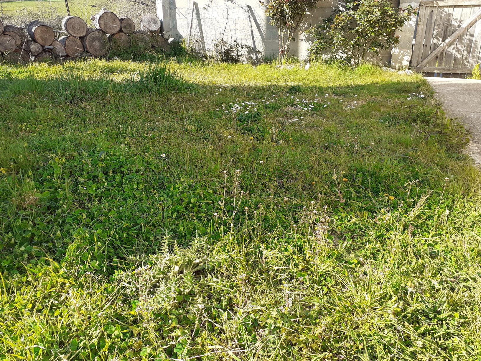 Annexe 91858296_2885692931545660_1931175071905218560_n.jpg