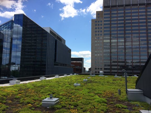 Annexe IMG_4300b.JPG