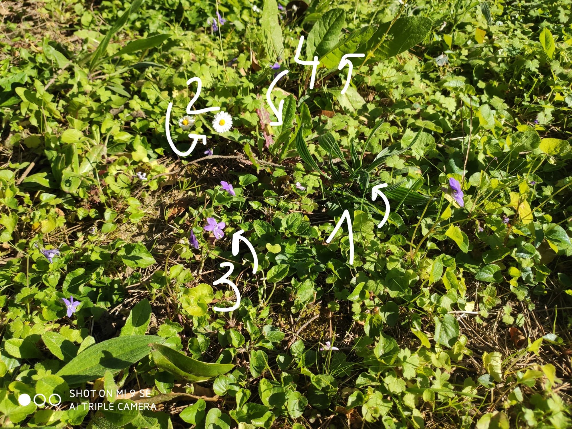 Annexe 92228810_916195178830957_4653926137020284928_n.jpg