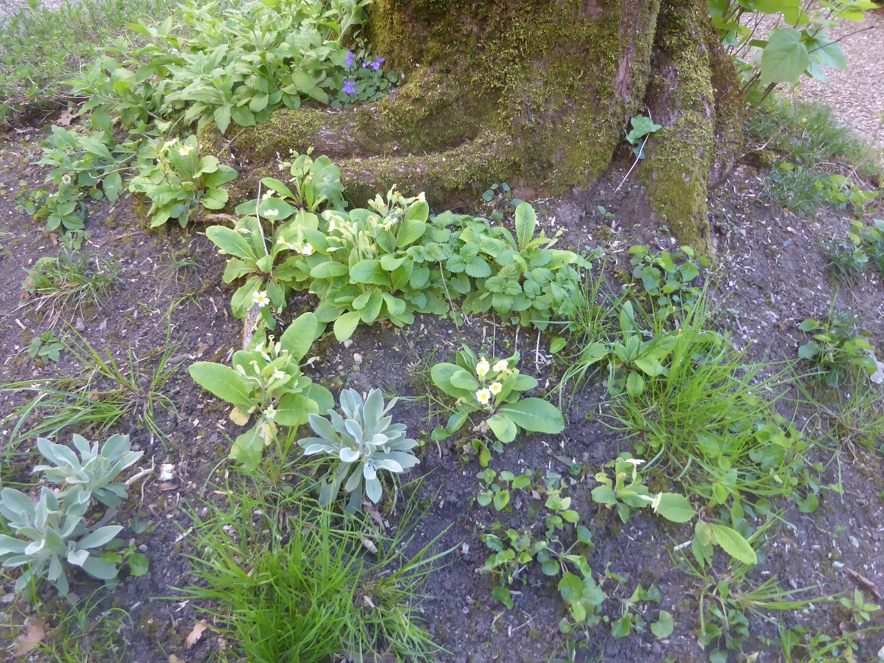 Annexe 20200404-51kleber-reduit.jpg