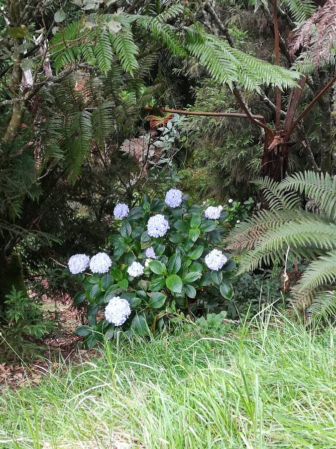 Annexe 1586081389372.JPEG