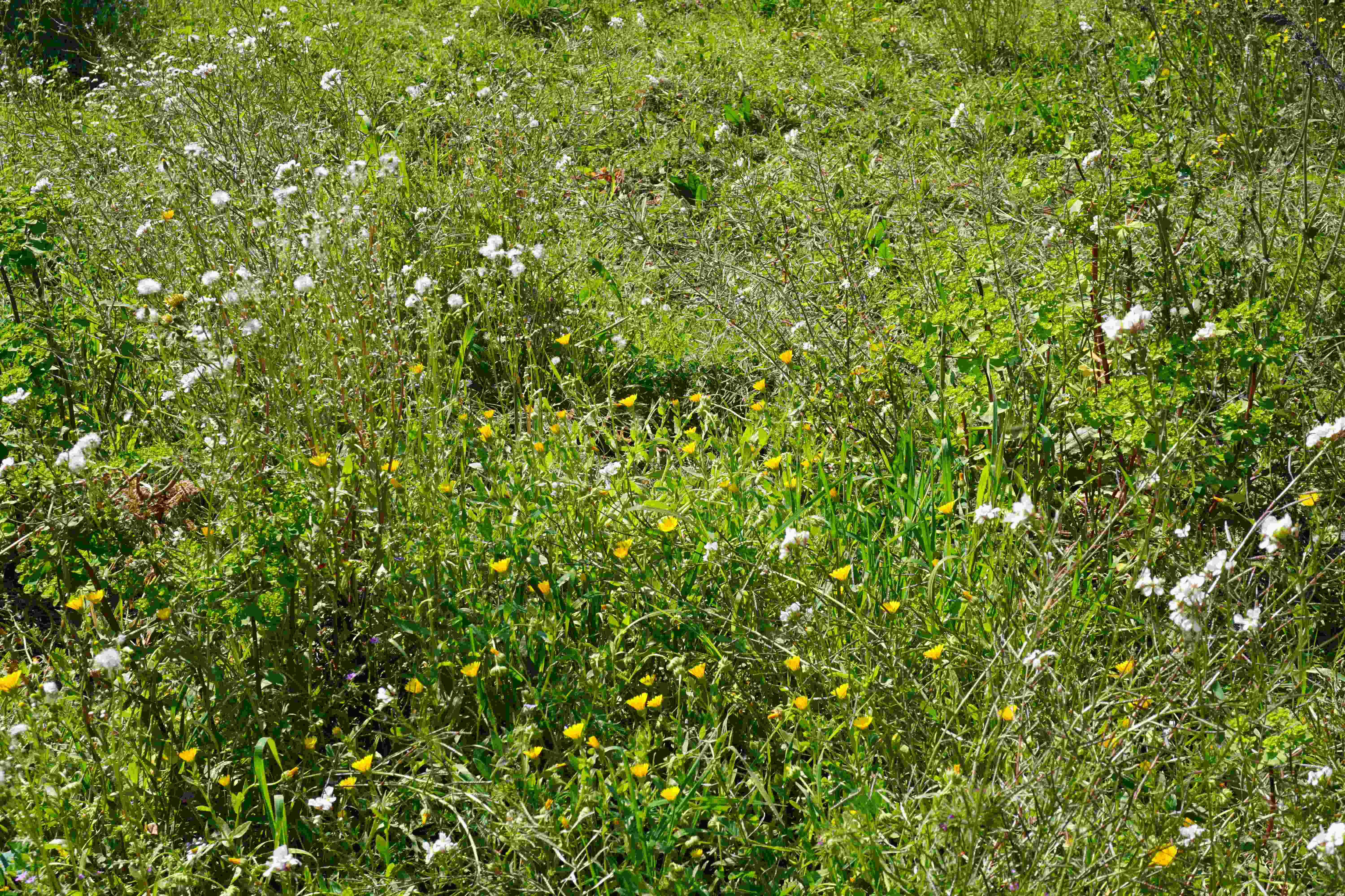 Annexe DSC09074_.jpg