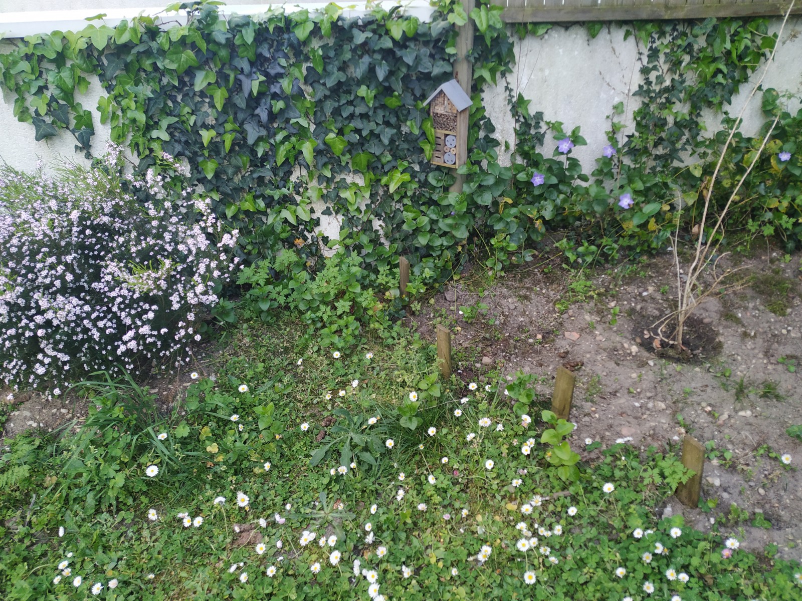 Annexe Diversité printanière.jpg