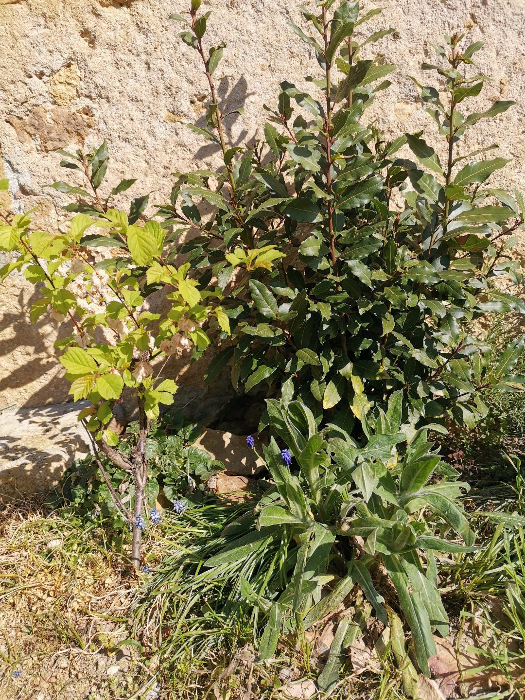 Annexe photo_exercice_mooc.jfif