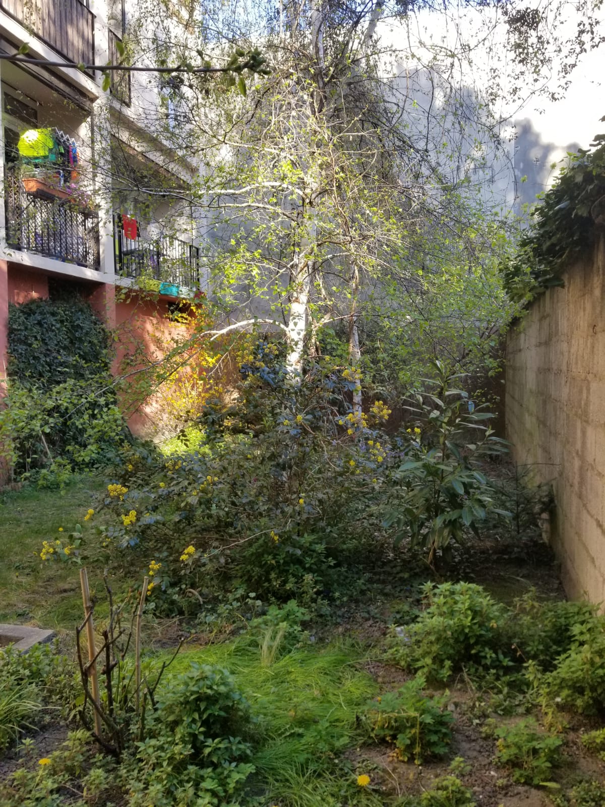 Annexe biodiversité cour dimmeuble.jpg