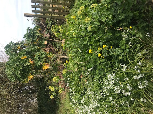 Annexe Biodiversité.jpg