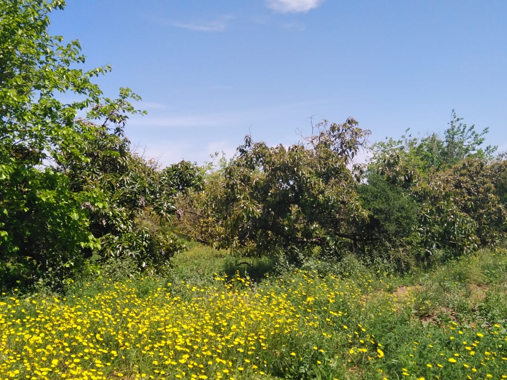 Annexe e5f6a2cb-e482-43db-a39f-eb632eaf9850.JPG