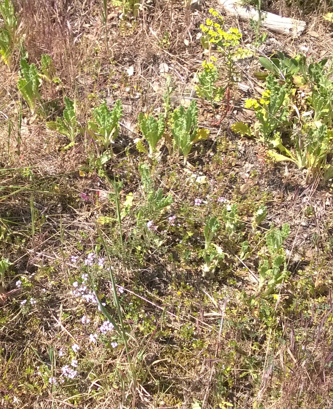 Annexe WP_20200405_023-min.jpg