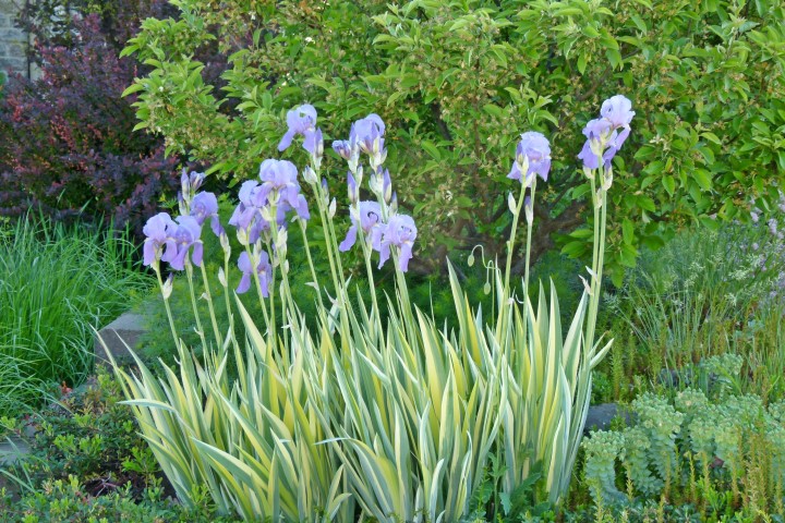 Annexe 1 ChezNous P1170710 (Small).JPG