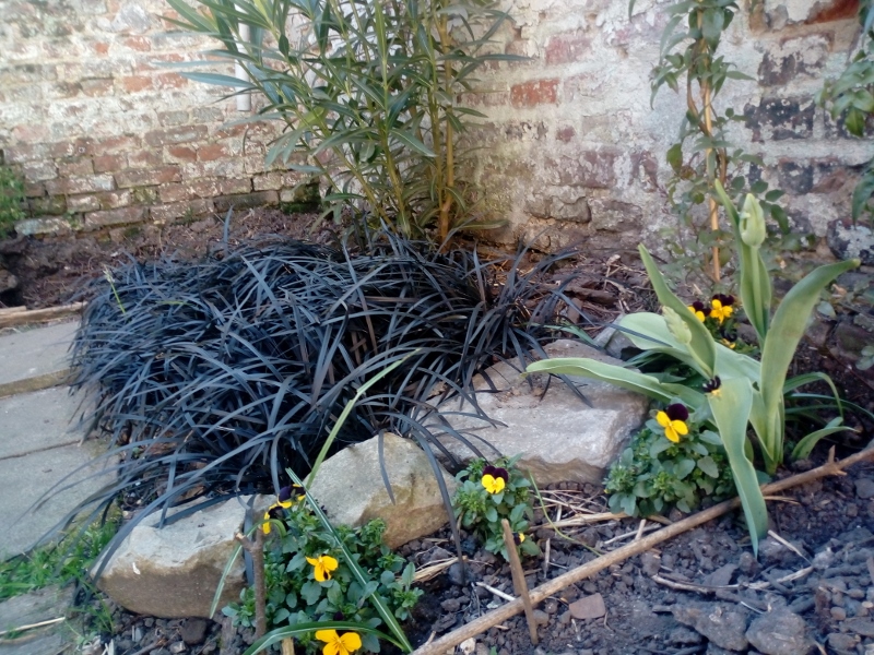 Annexe IMG_20200405_160923 (800x600).jpg