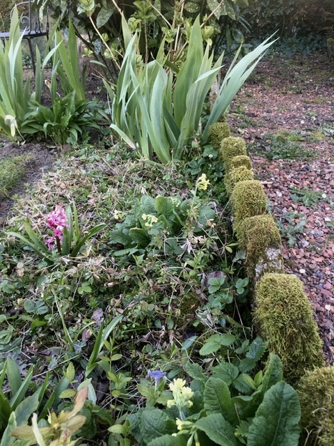 Annexe 0DF47F5D-BACC-410C-A265-ED92B9C7D98B.jpeg