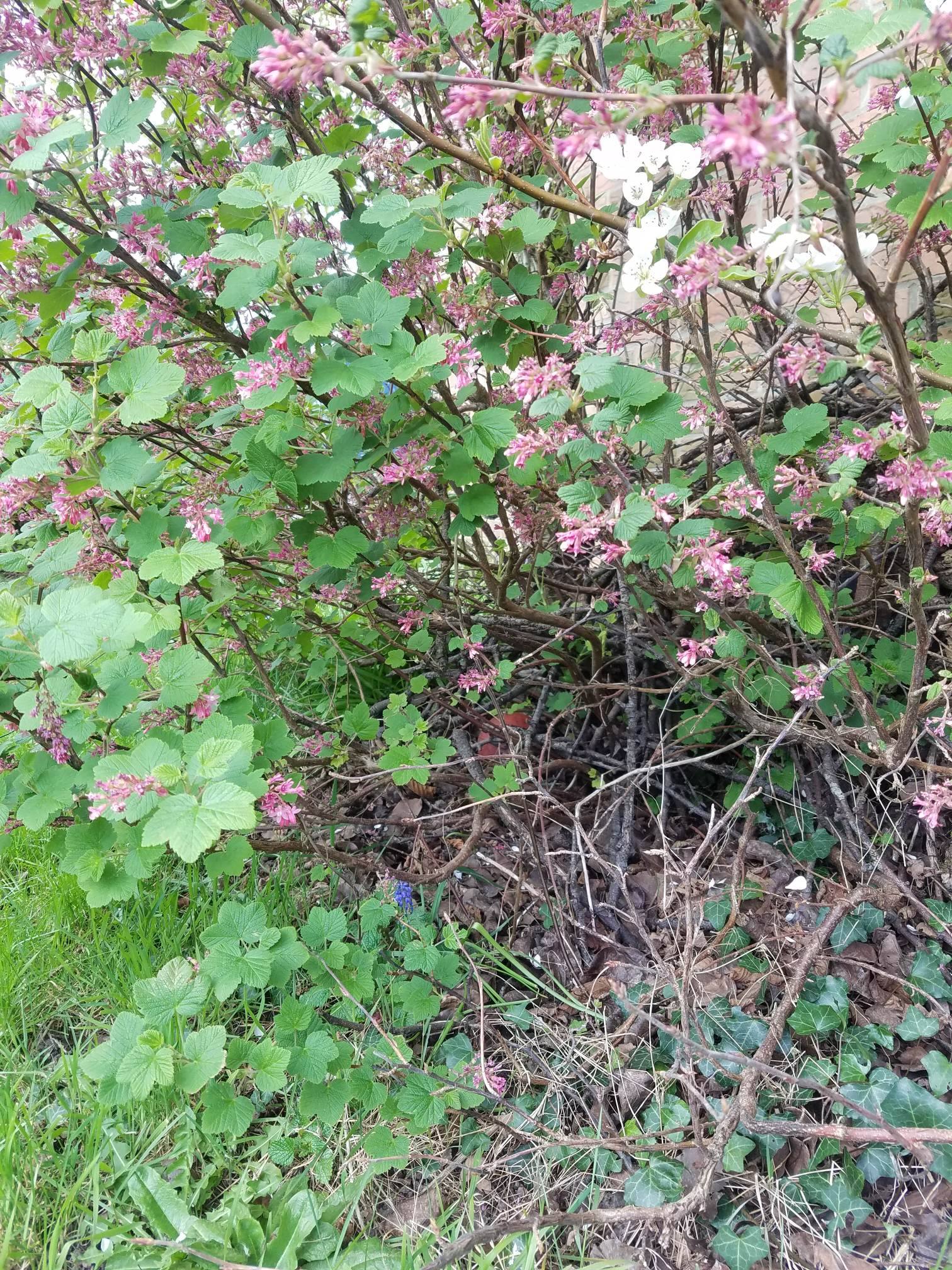 Annexe 92288276_216092946381878_3718274589692788736_n.jpg