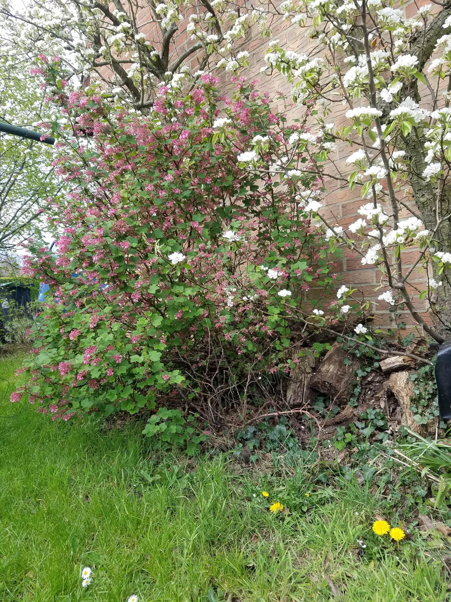 Annexe 92305631_2311391079159178_6064090223875194880_n.jpg