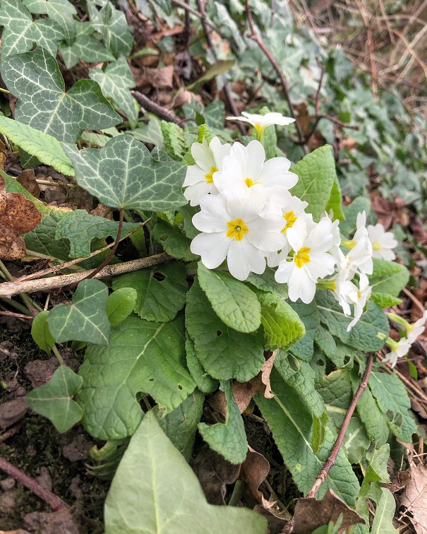 Annexe 7EC6FB0D-615E-428A-93A2-DF1C9296B319.JPG