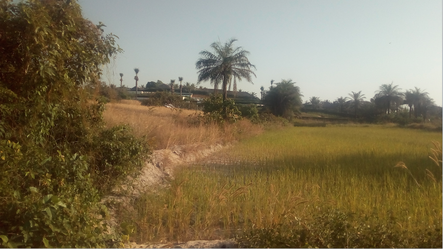 Annexe Éco-parc Diembéring.png