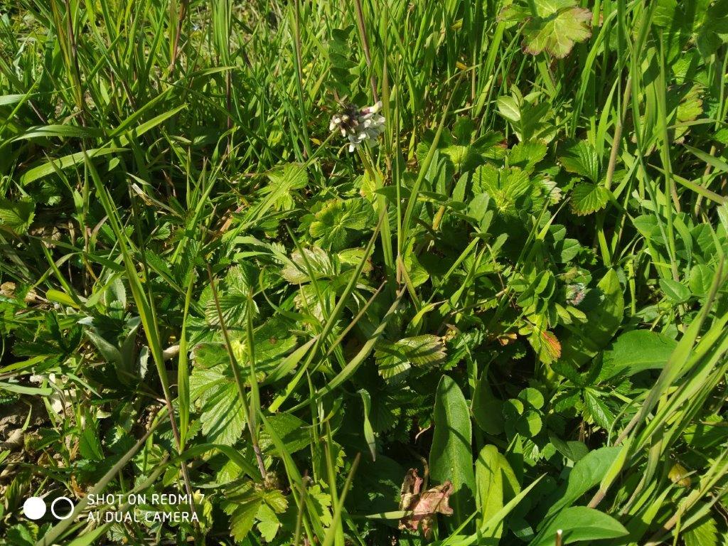 Annexe IMG_20200402_164148.jpg