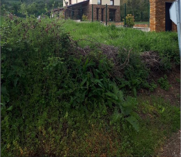 Annexe Capture d’écran 2020-04-06 à 16.19.47.png