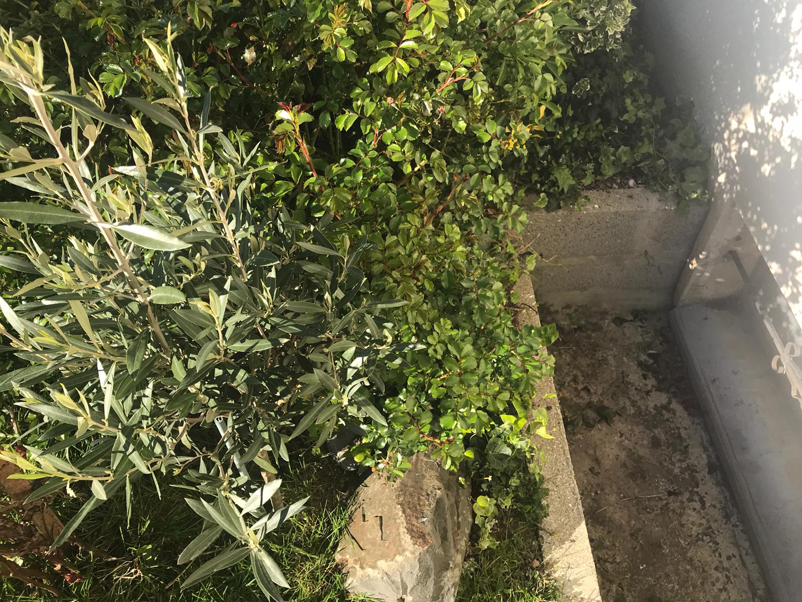 Annexe WhatsApp Image 2020-04-06 at 09.08.46 (1).jpeg