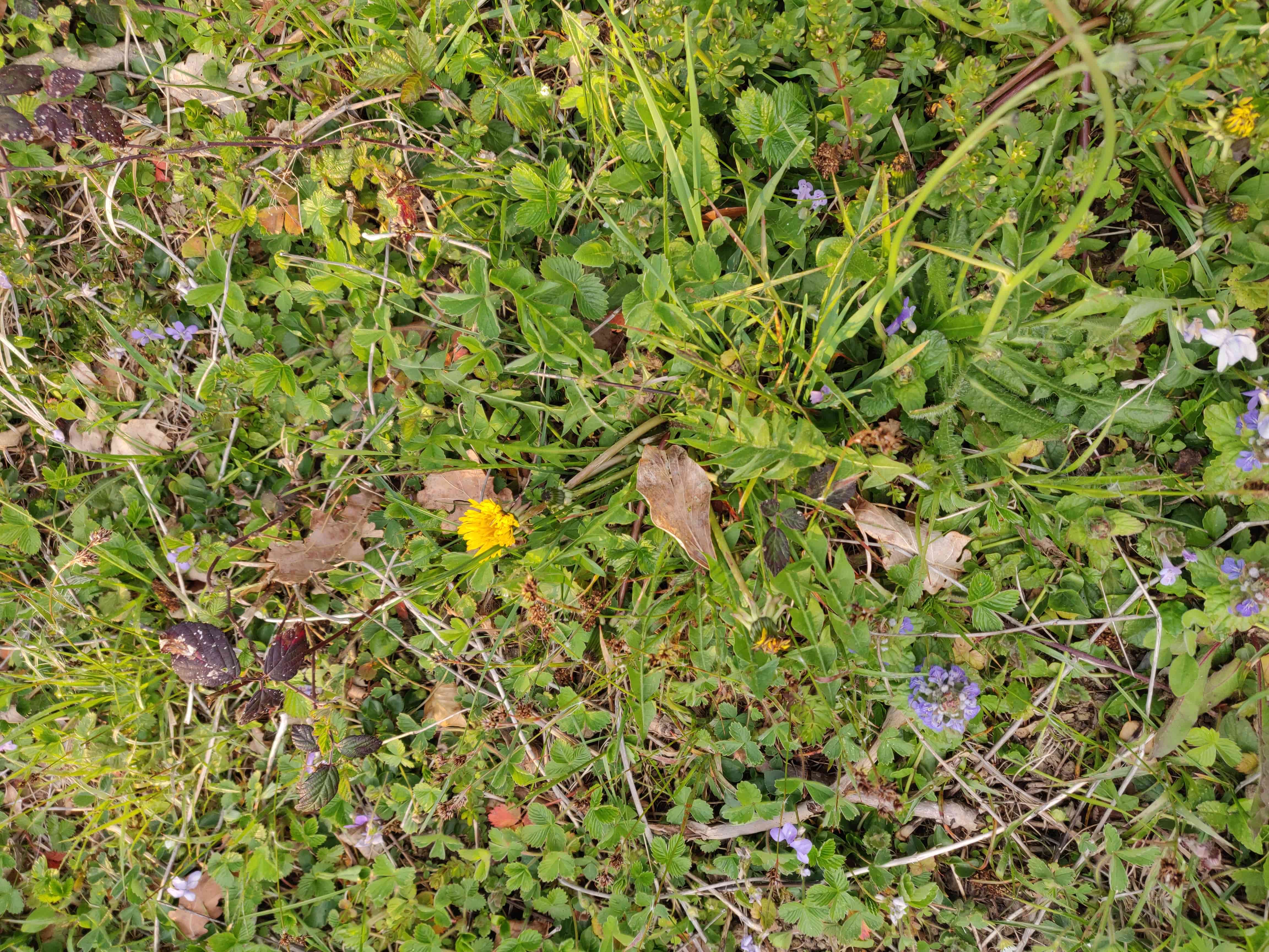 Annexe IMG_20200402_192354 (1)-min.jpg