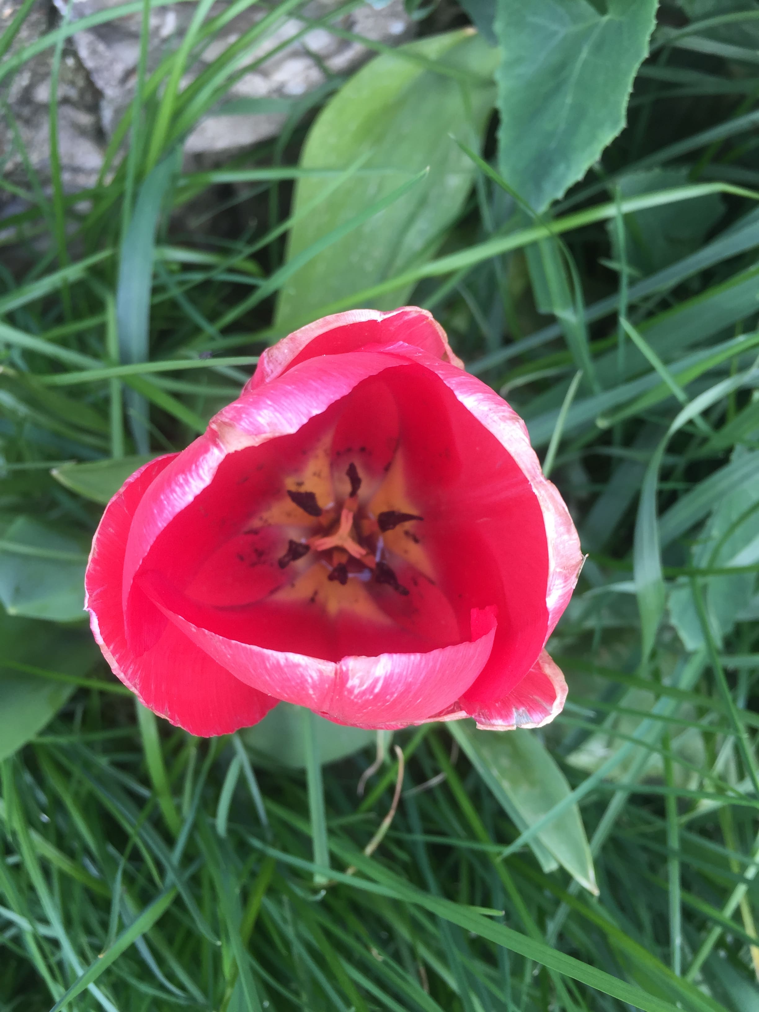 Annexe IMG_2377-min.JPG