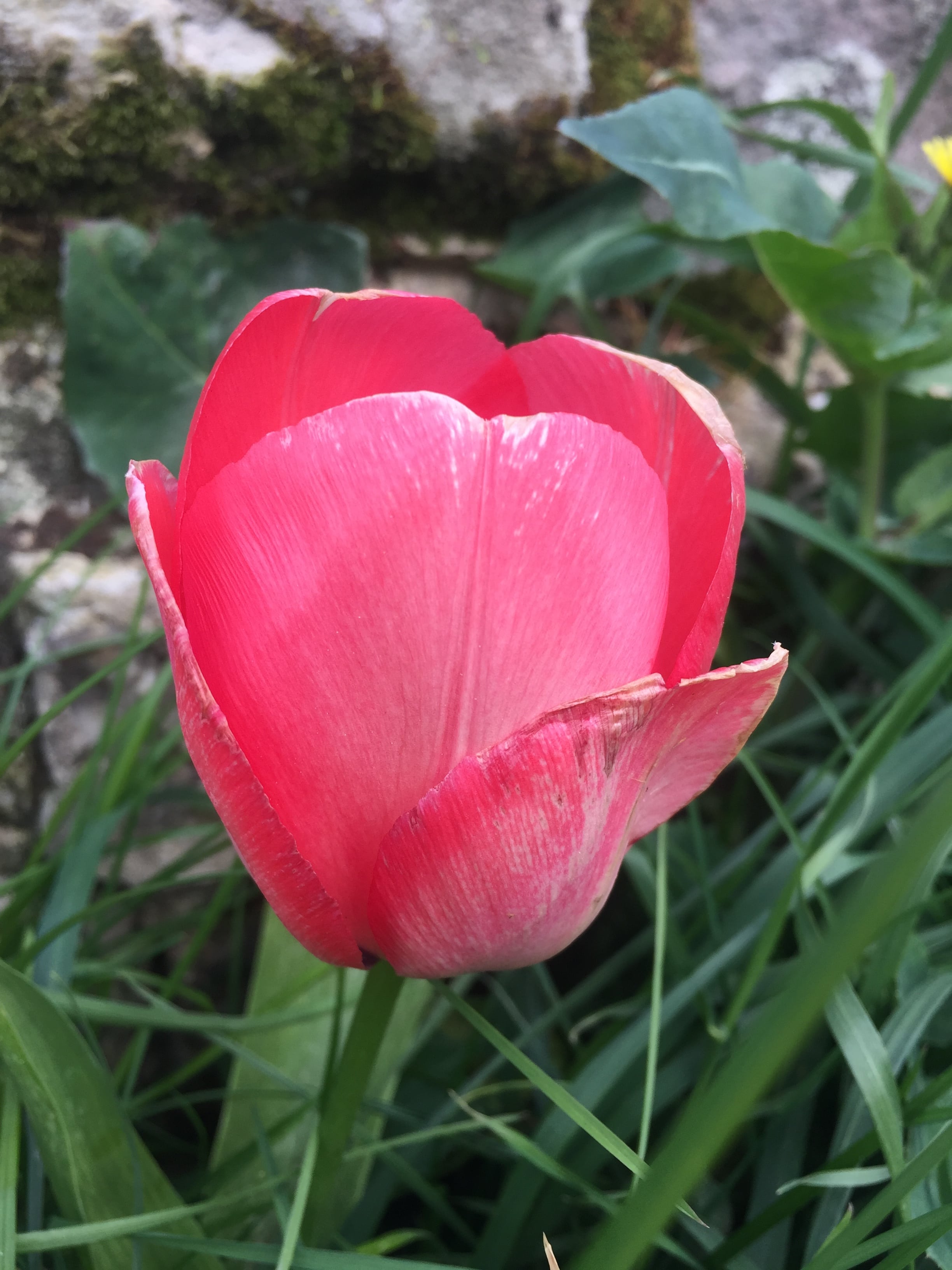 Annexe IMG_2378-min.JPG