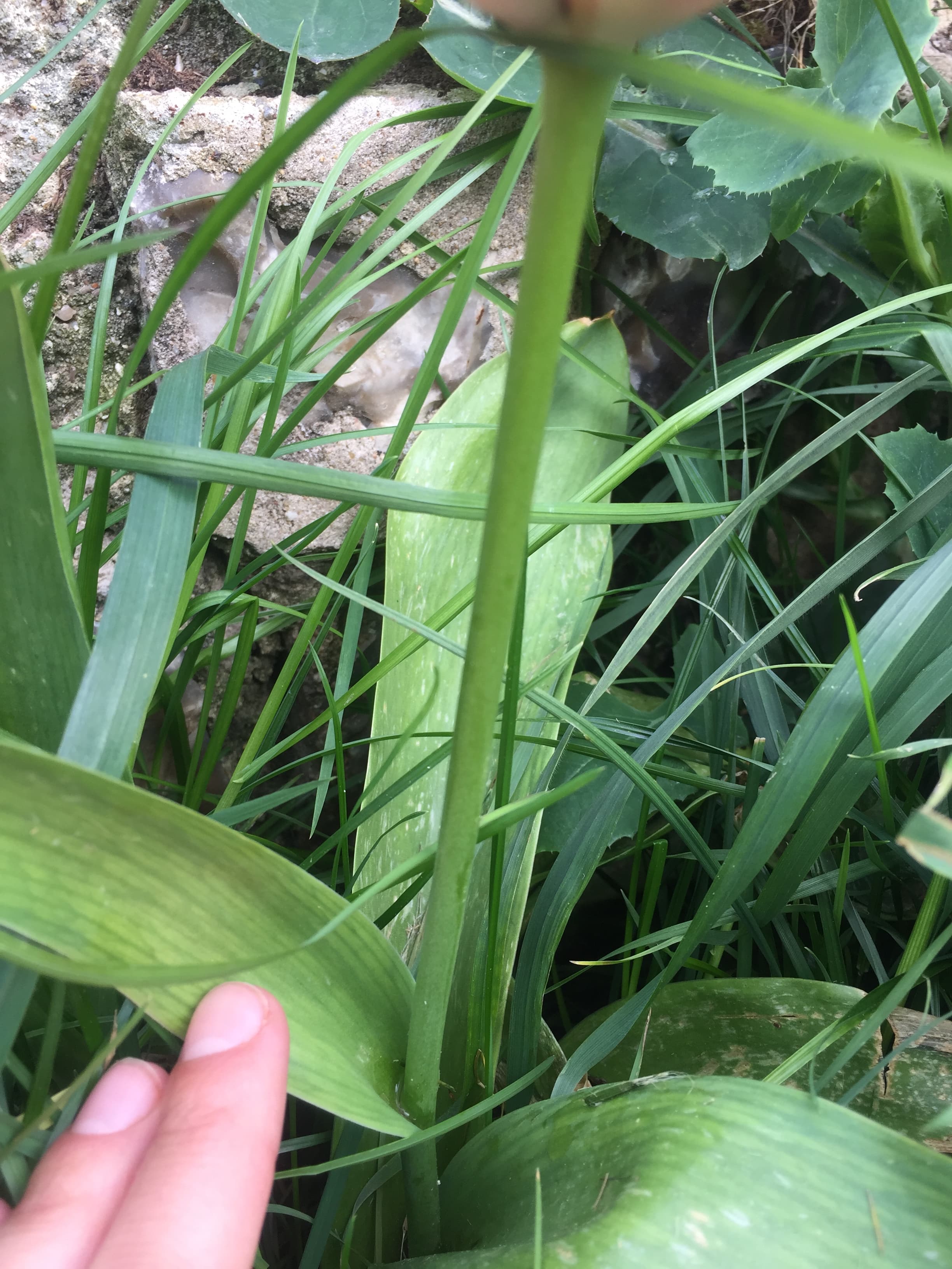 Annexe IMG_2379-min.JPG