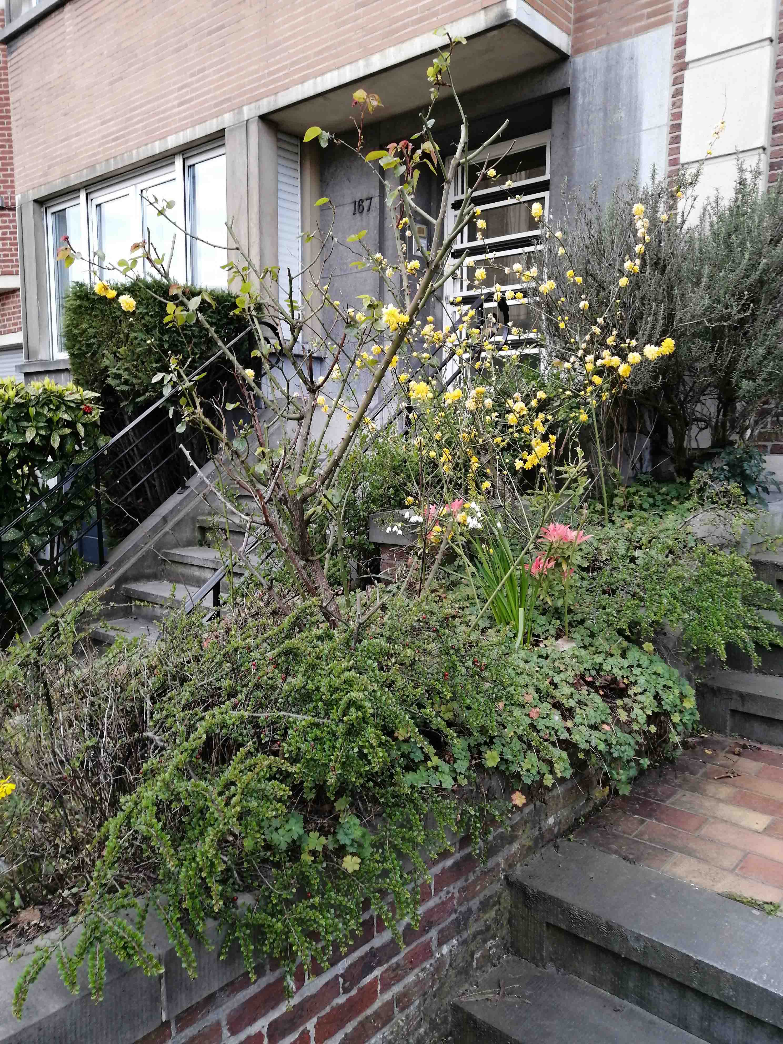 Annexe IMG_20200403_191212_Small.jpg