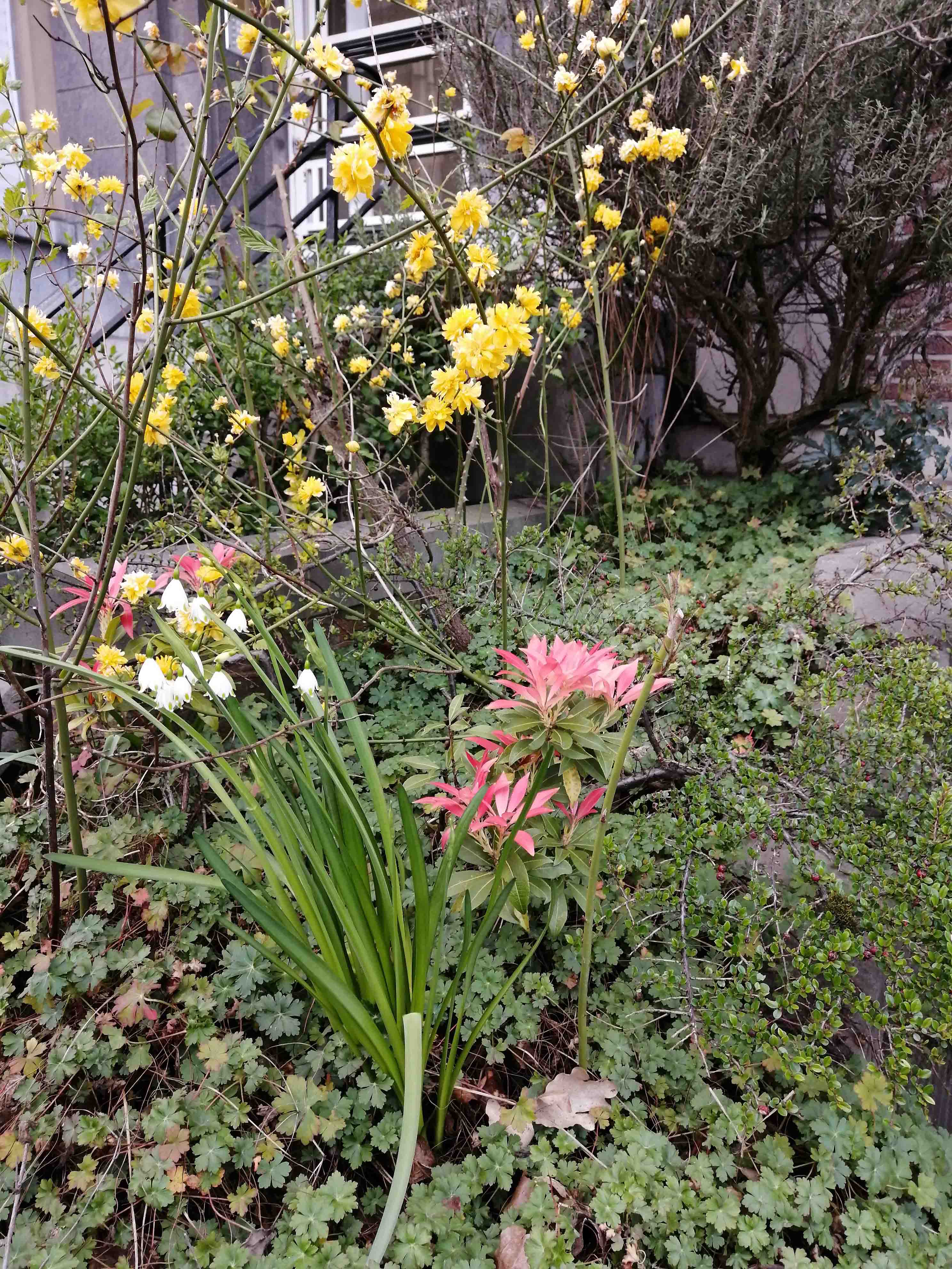 Annexe IMG_20200403_191232_Small.jpg