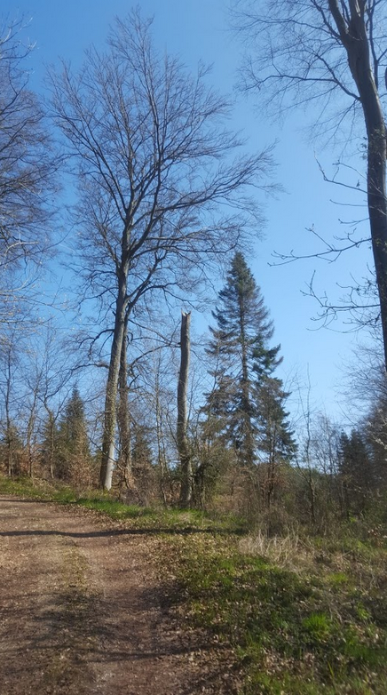 Annexe Biodiversite.png