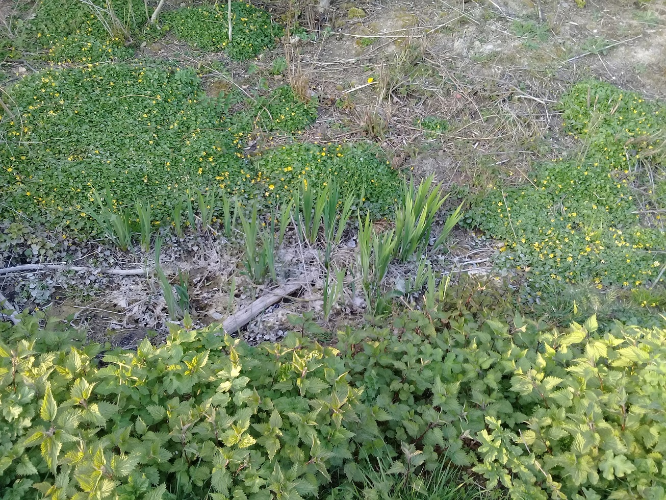 Annexe mooc paysage petite 1.jpg