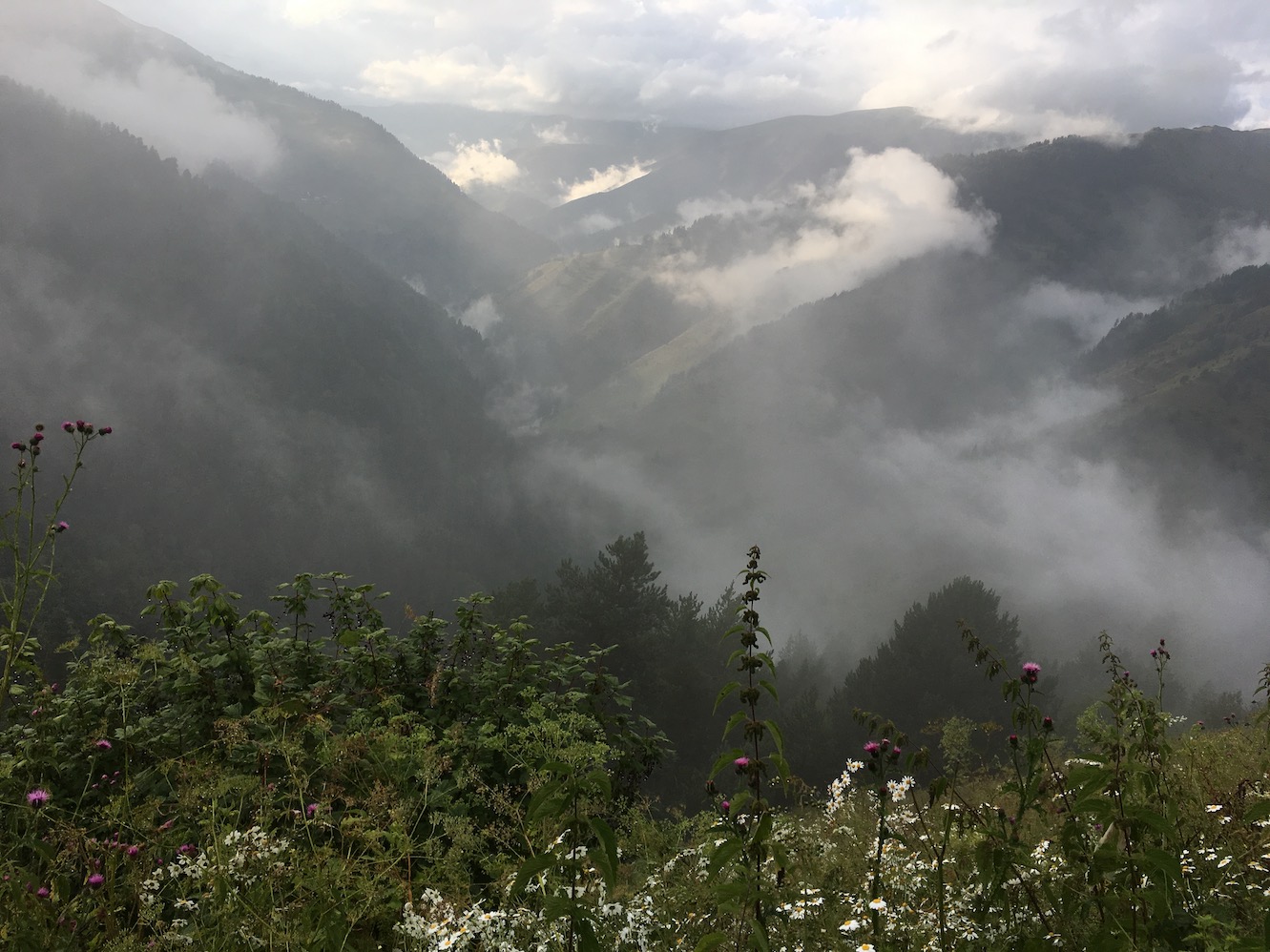 Annexe IMG_0810.jpeg