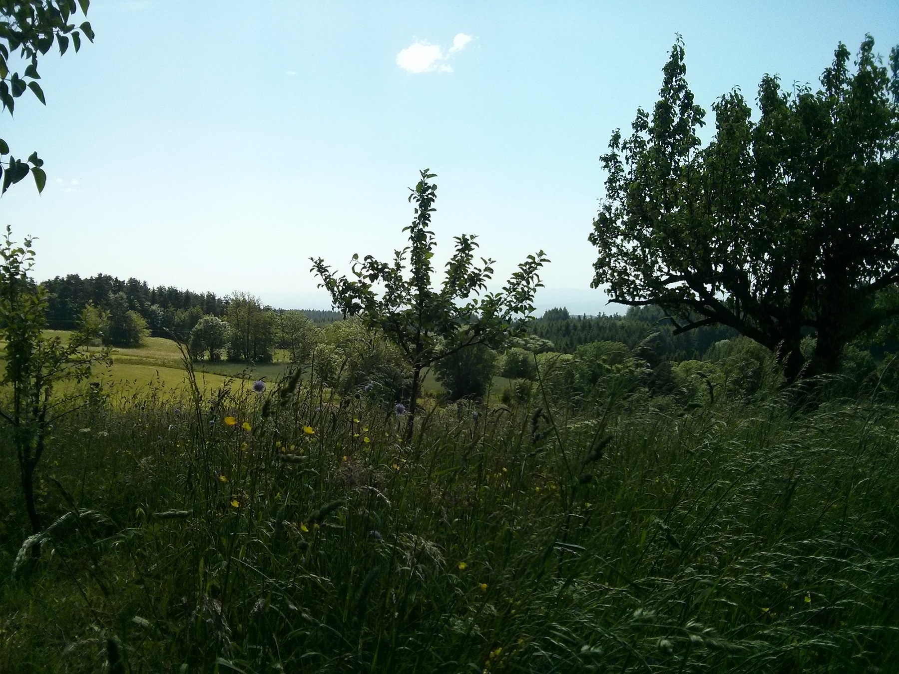 Annexe IMG_20140608_160830-min.jpg