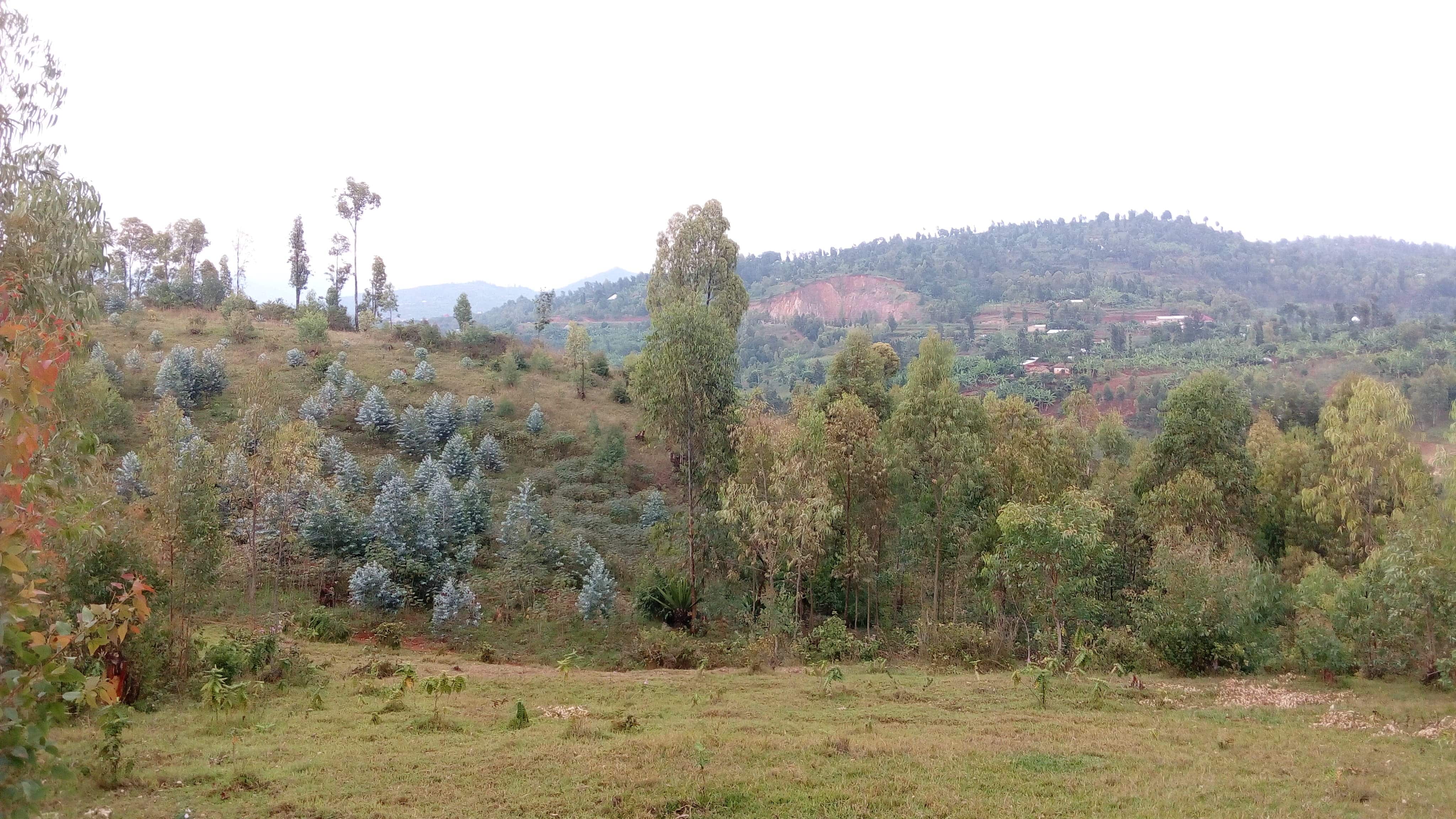 Annexe IMG_20190714_145149-min-min(1).jpg