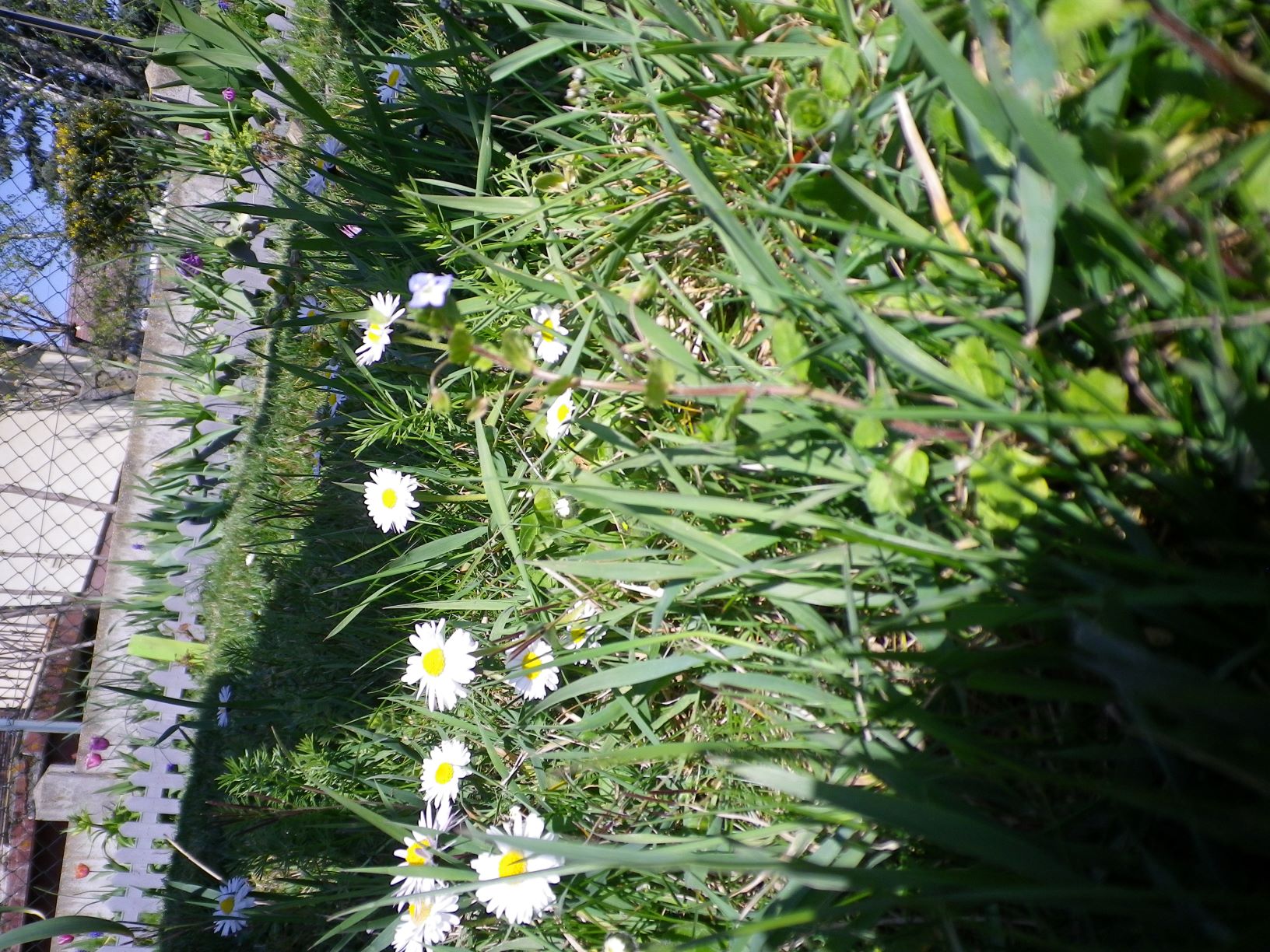 Annexe IMGP0400 bis.JPG