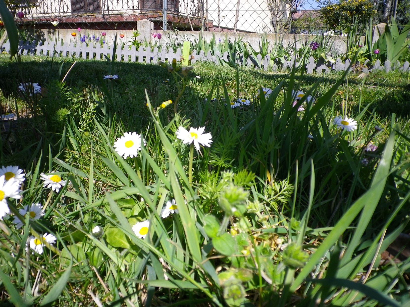 Annexe IMGP0401 bis.JPG